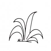 青草的画法幼儿学画植物