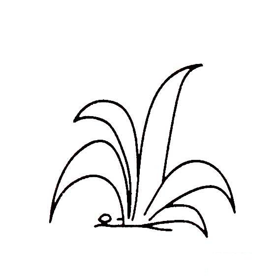 青草的画法幼儿学画植物