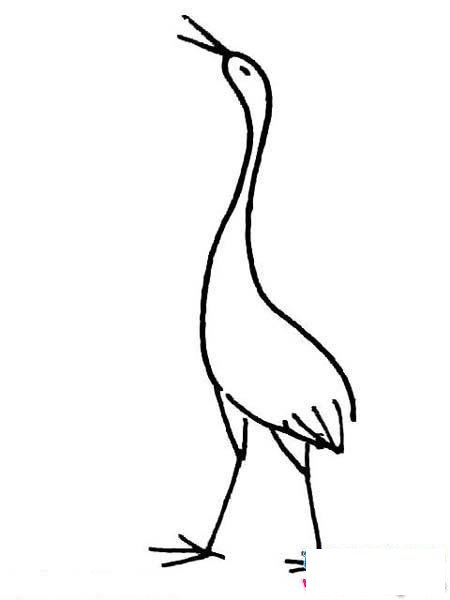幼儿丹顶鹤简笔画图片