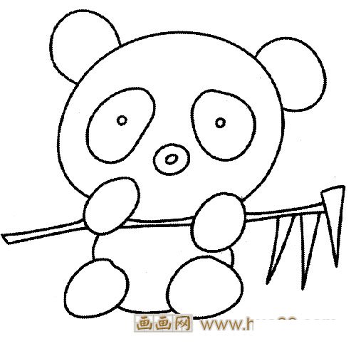 吃竹子的大熊猫宝宝简笔画3