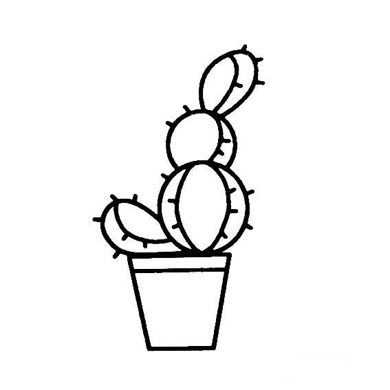 仙人球的画法一盆仙人球怎样画