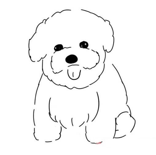 比熊犬简笔画图片