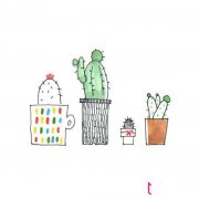 小清新的植物简笔画图片，小盆栽简笔画