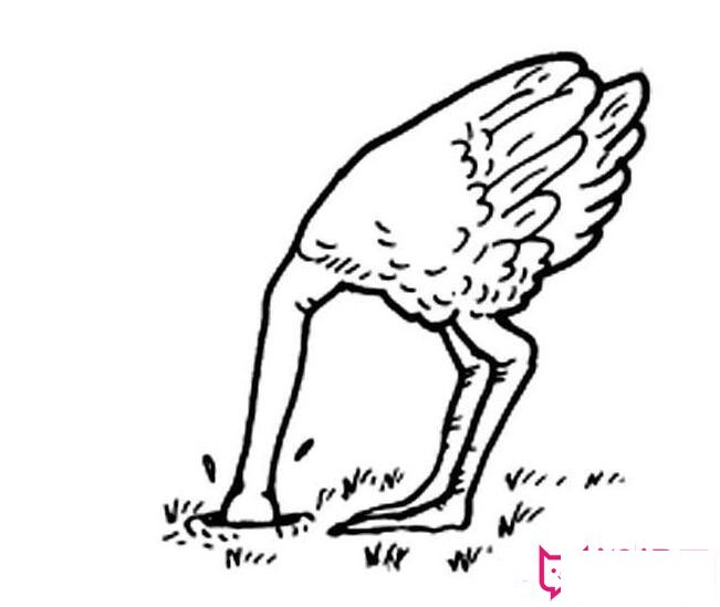 鸵鸟简笔画图片大全,简笔画鸵鸟的画法