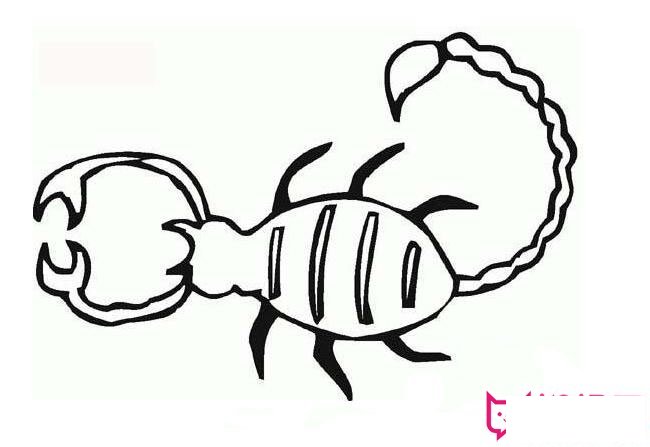 蝎子简笔画图片大全,简单的蝎子画法