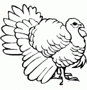 美国火鸡简笔画图片