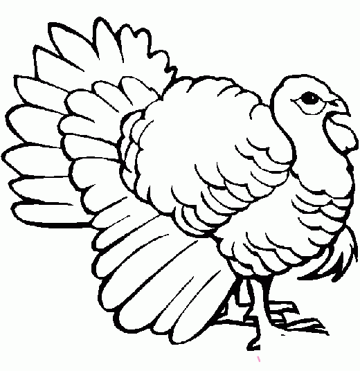 美国火鸡简笔画图片