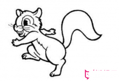 儿童动物简笔画,小松鼠简笔画