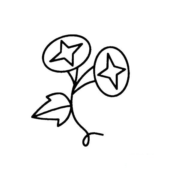 喇叭花（牵牛花）简易画法5