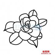 茶花的简单画法1