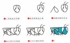 蚱蜢动物简笔画步骤图片大全