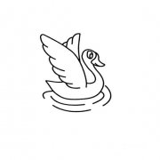 在水里挥动翅膀的大白鹅画法