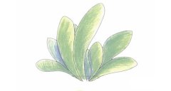 小草简笔画的画法步骤图教程