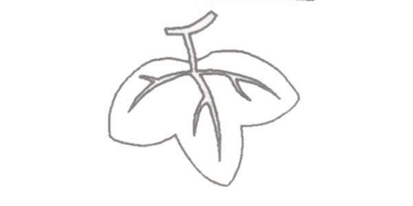 葡萄简笔画图片