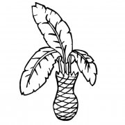 铁树植物简笔画步骤图片大全