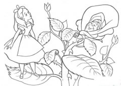 玫瑰花丛中的爱丽丝简笔画画法_怎么画玫瑰花丛