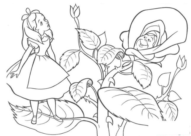 简笔画玫瑰花丛中的爱丽丝的具体画法步骤图片教程