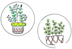 盆栽绿植的画法涂颜色 手绘盆栽插画简笔画图片