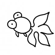 金鱼的简单画法画一条金鱼