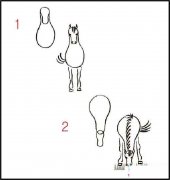 关于马的简笔画画法