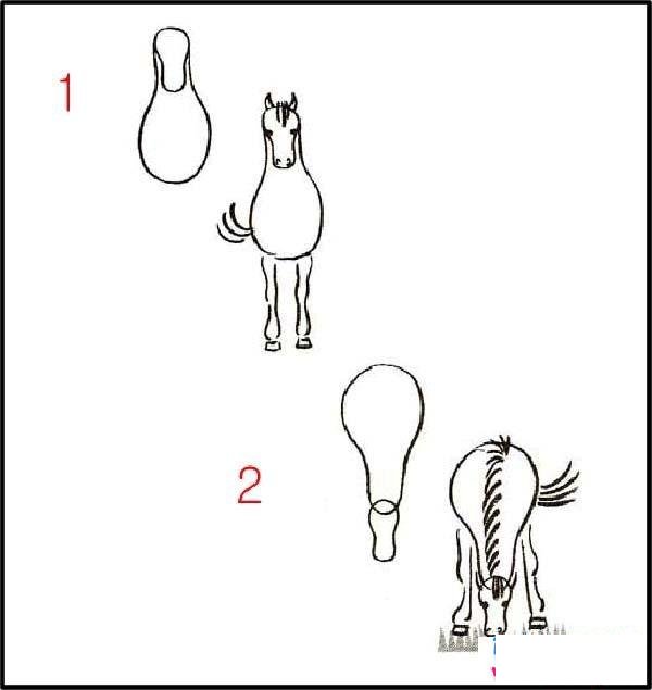 关于马的简笔画画法