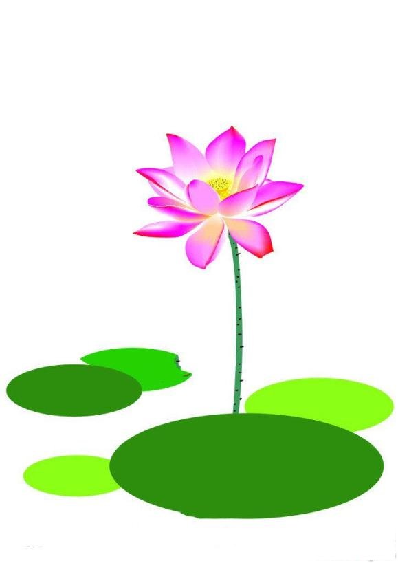 简笔画彩色荷花的具体画法步骤图片教程