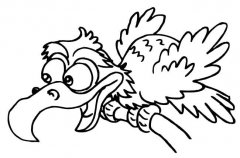 秃鹫动物简笔画步骤图片大全