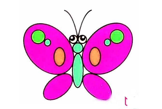 1一6年级画画图片大全，各种美丽的蝴蝶简笔画图片