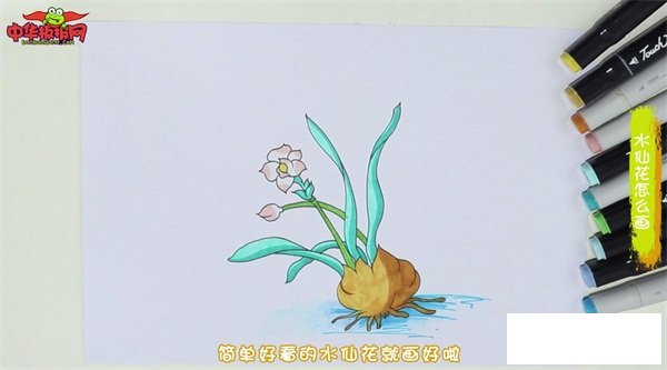 水仙花怎么画