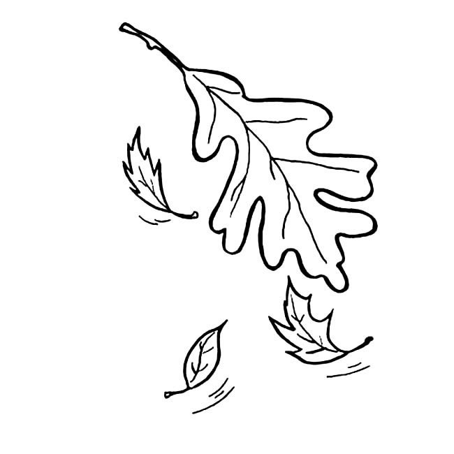 落叶简笔画图片