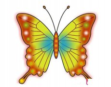 1一6年级画画图片大全，各种美丽的蝴蝶简笔画图