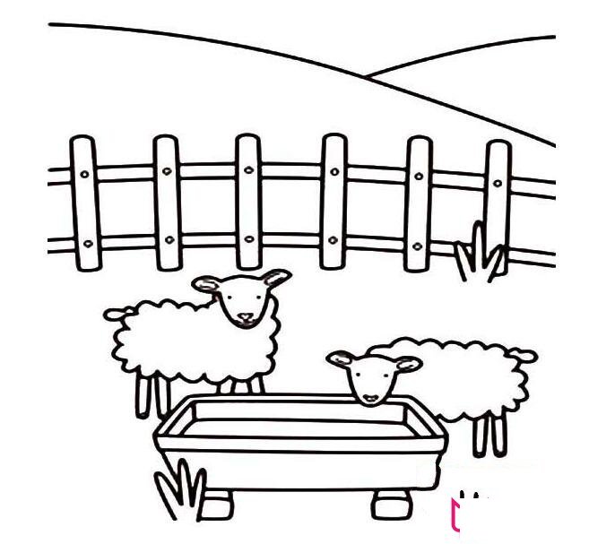 小羊怎么画，吃食的小羊简笔画