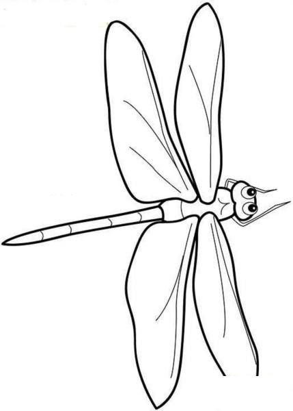 卡通蜻蜓简笔画