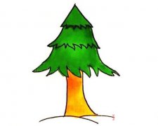 手绘松树的画法步骤图带颜色 卡通松树简笔画图