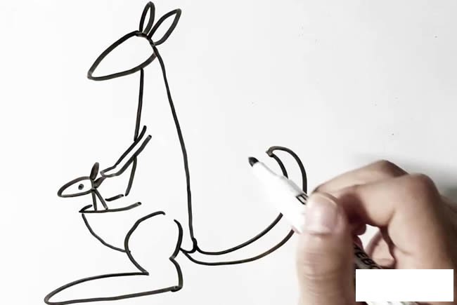 简单的袋鼠简笔画画法步骤图片