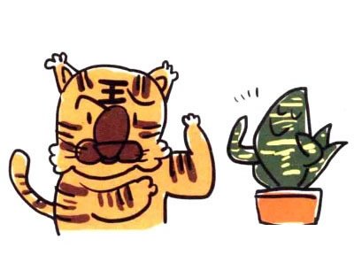 虎皮兰简笔画图片