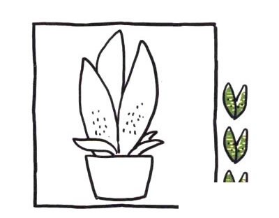 虎皮兰简笔画图片