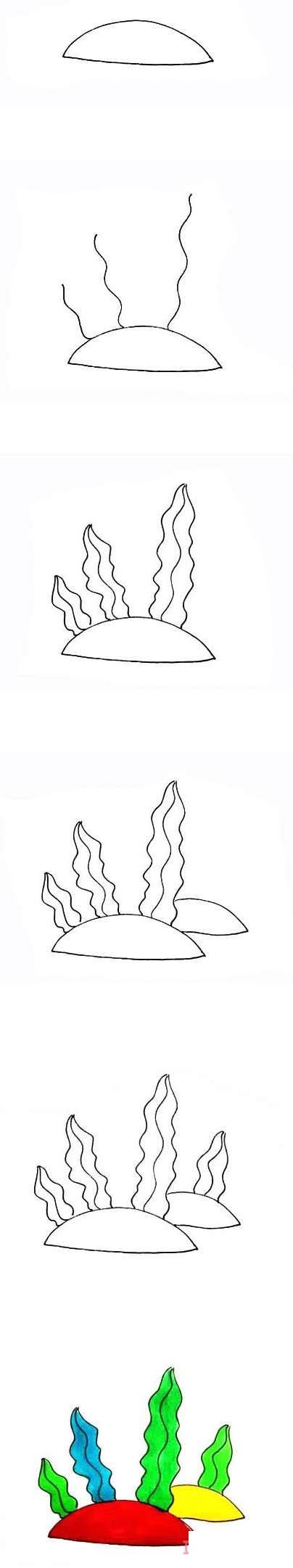 海草简笔画怎么画简单好看涂颜色