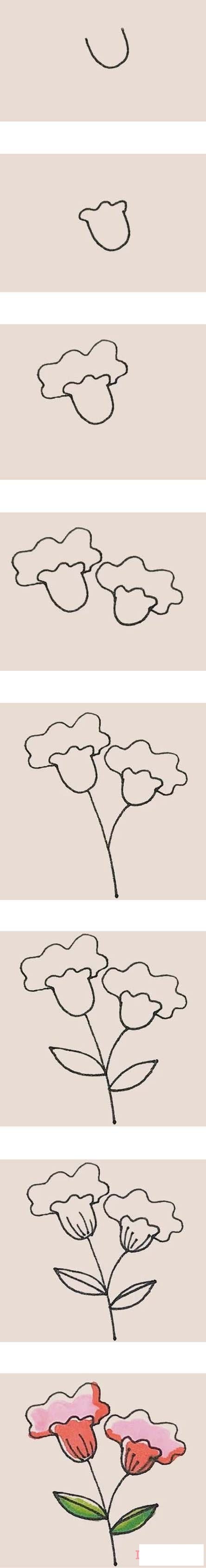 一步一步绘画鸡冠花简笔画教程涂颜色