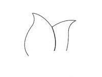 郁金香简笔画图片步骤二