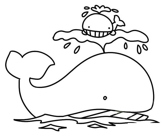 鲸鱼简笔画