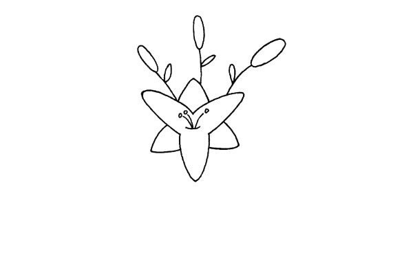 百合花简笔画步骤图