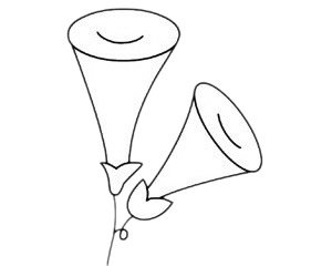 牵牛花简笔画图片步骤四