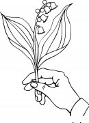 风铃花植物花简笔画步骤图片大全