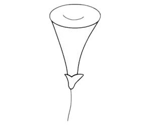 牵牛花简笔画图片步骤三