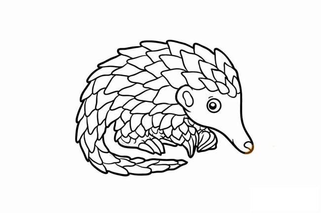 穿山甲简笔画