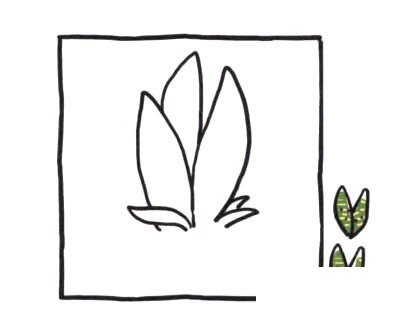 虎皮兰简笔画图片