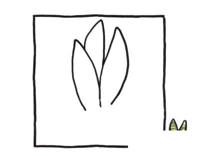 虎皮兰简笔画图片