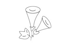 牵牛花简笔画步骤教程及图片大全