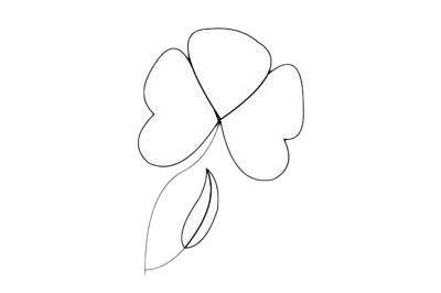 蝴蝶兰简笔画图片